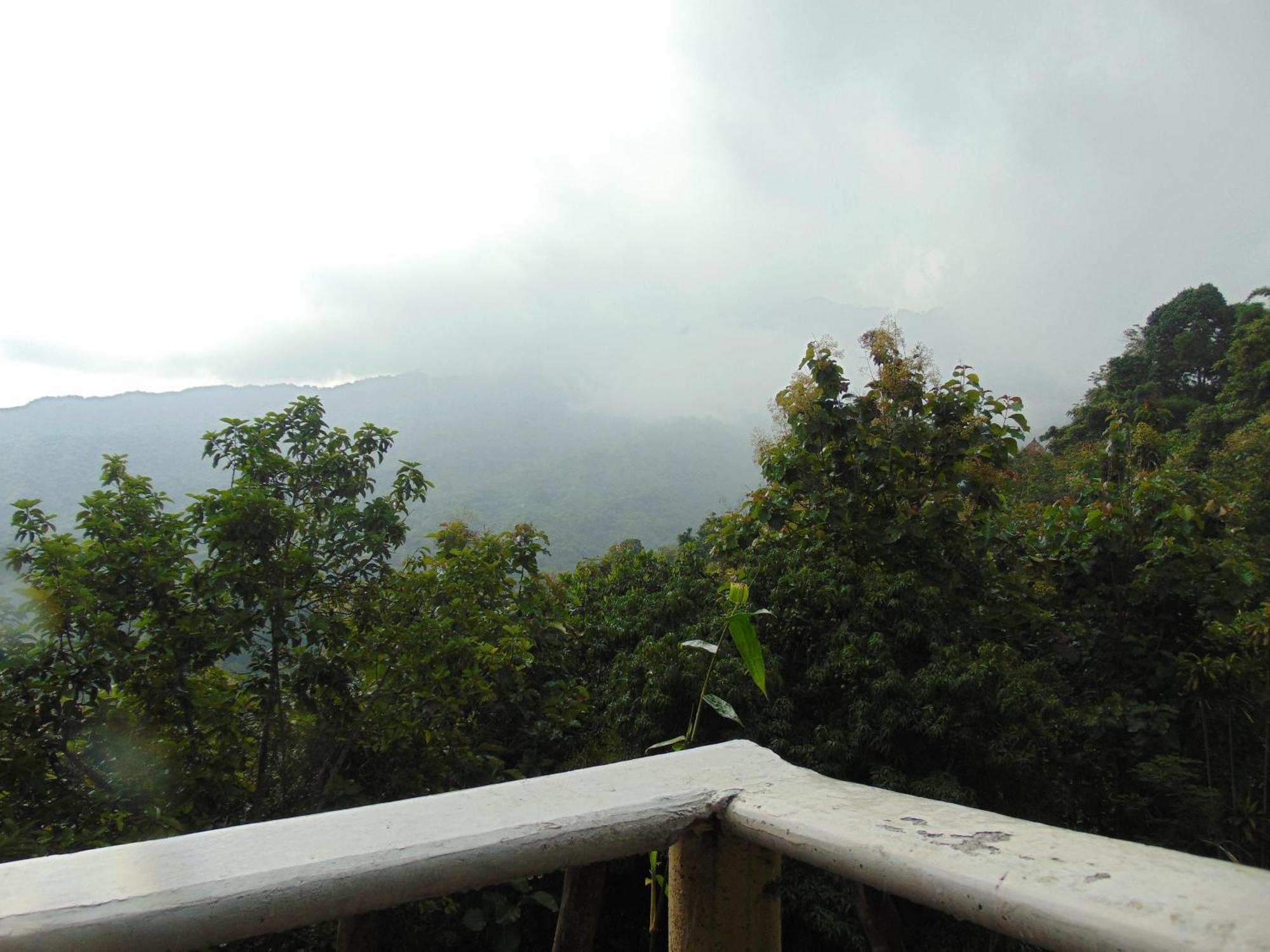Dunarinka Minca Luaran gambar