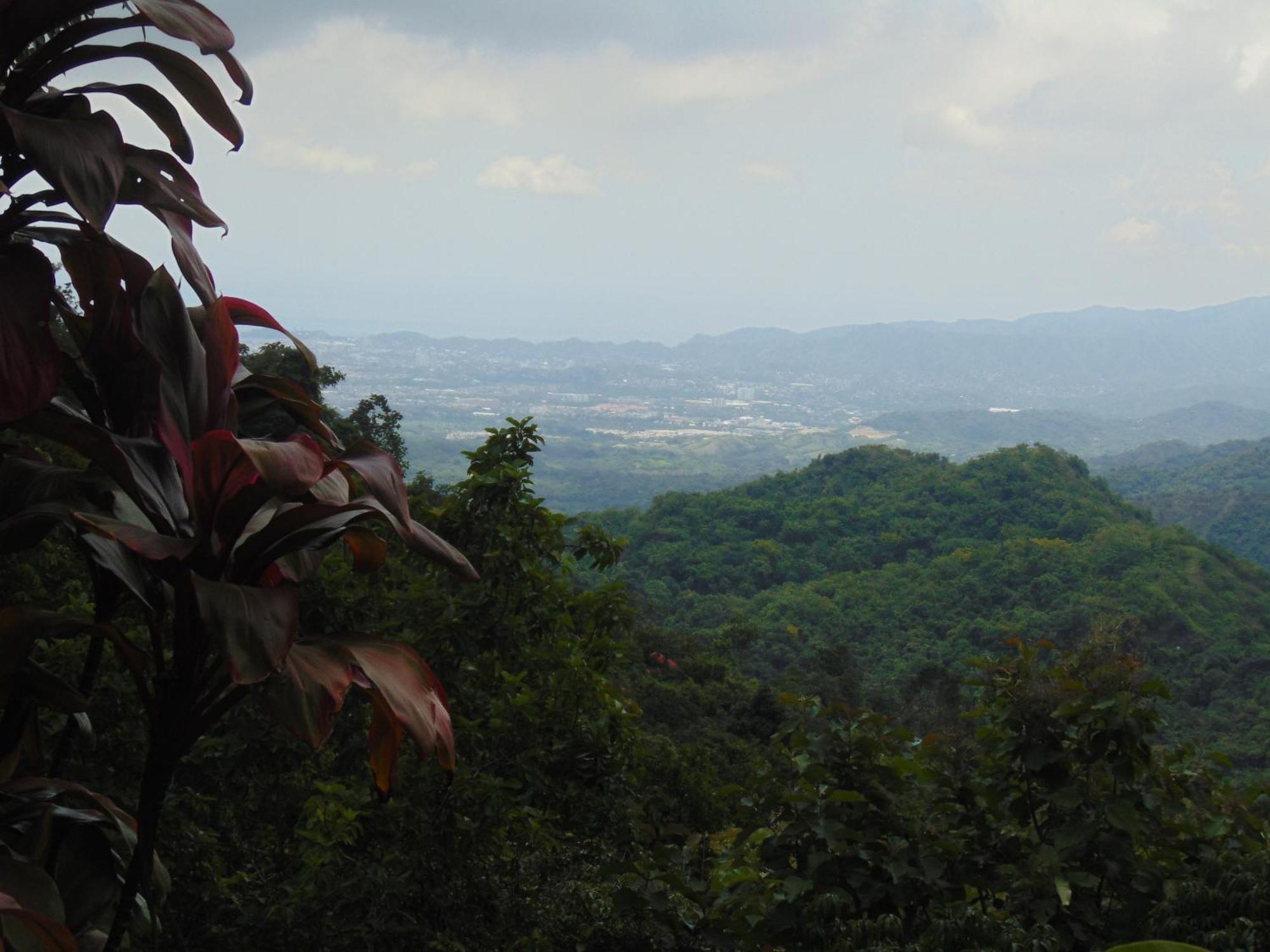 Dunarinka Minca Luaran gambar