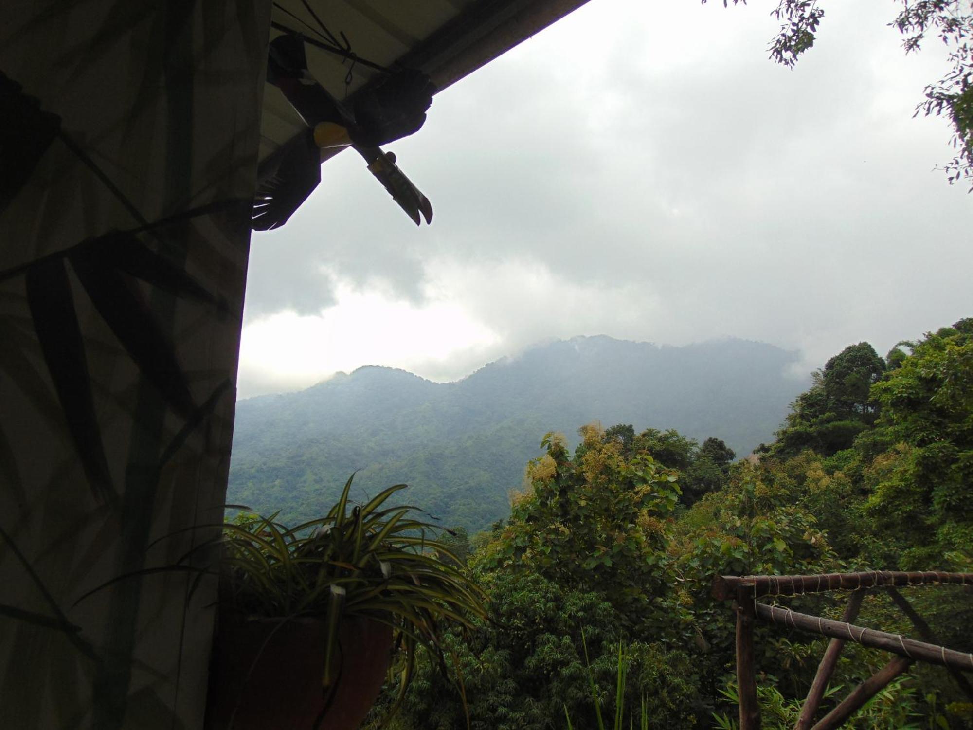 Dunarinka Minca Luaran gambar