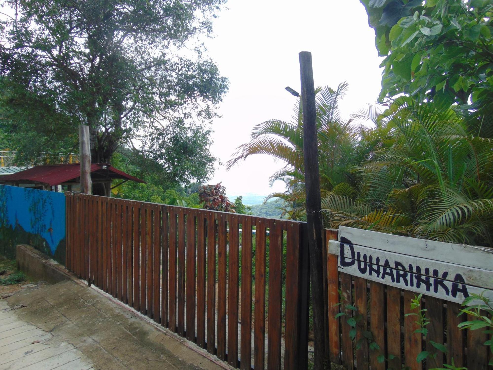 Dunarinka Minca Luaran gambar