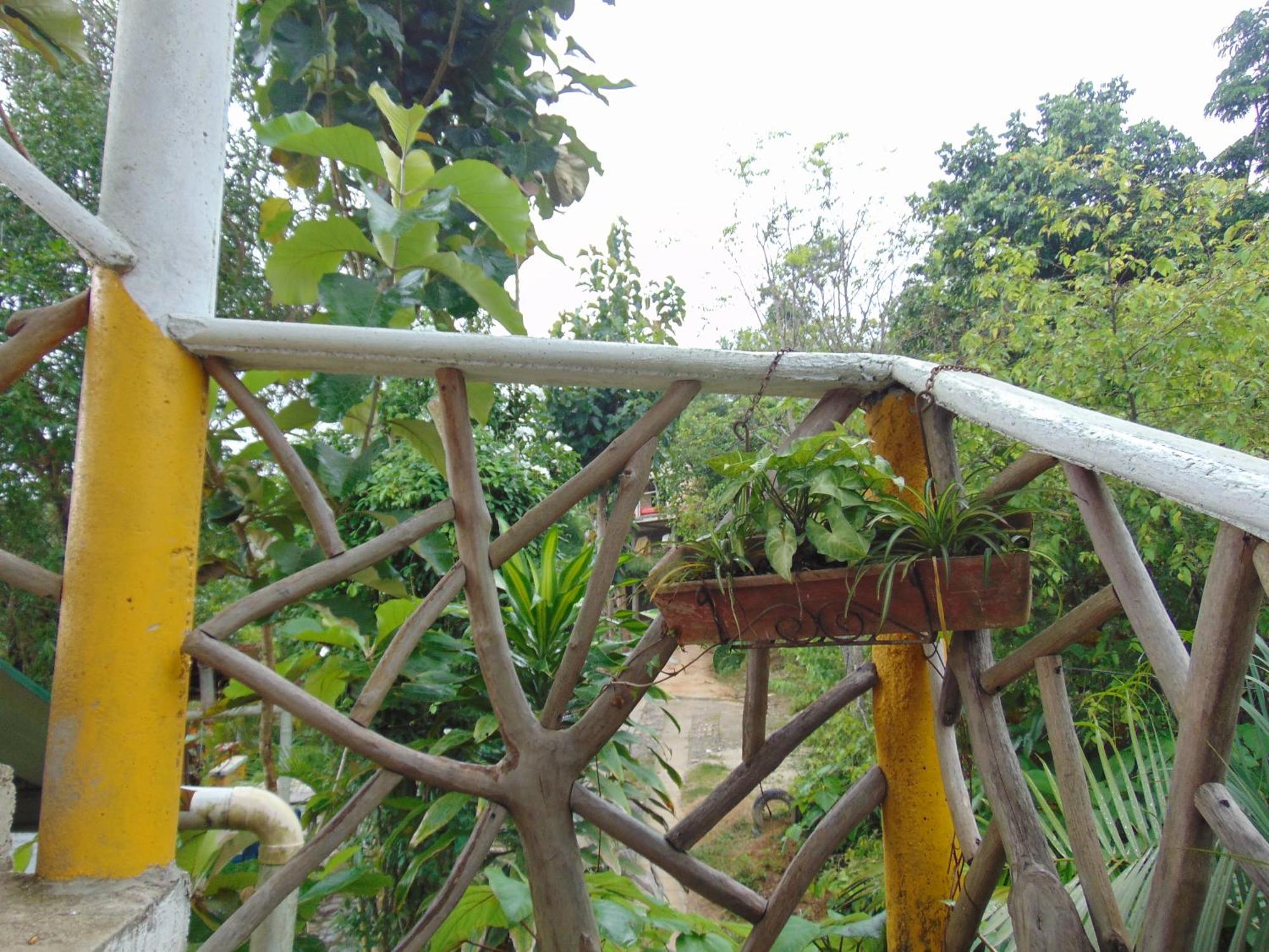 Dunarinka Minca Luaran gambar