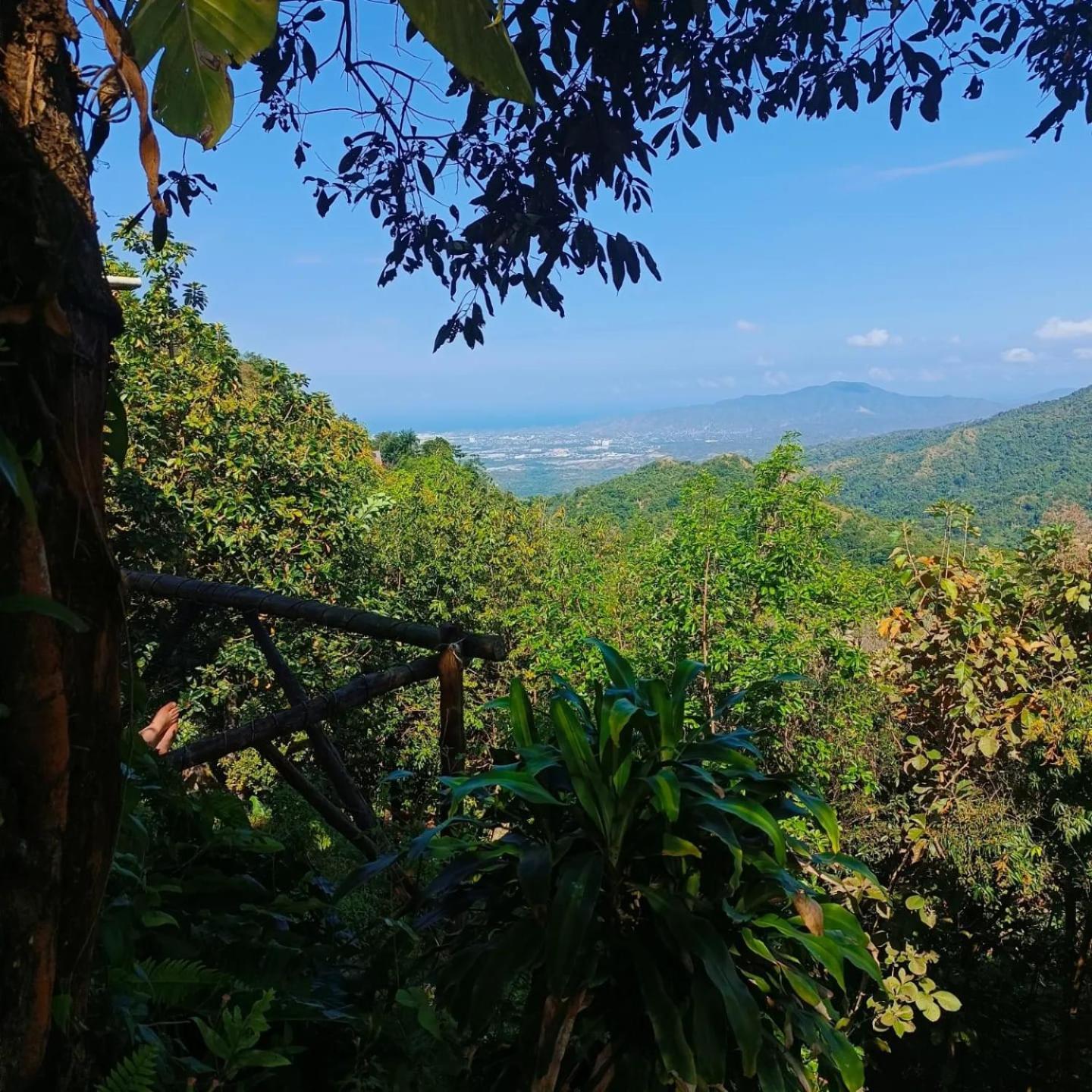 Dunarinka Minca Luaran gambar
