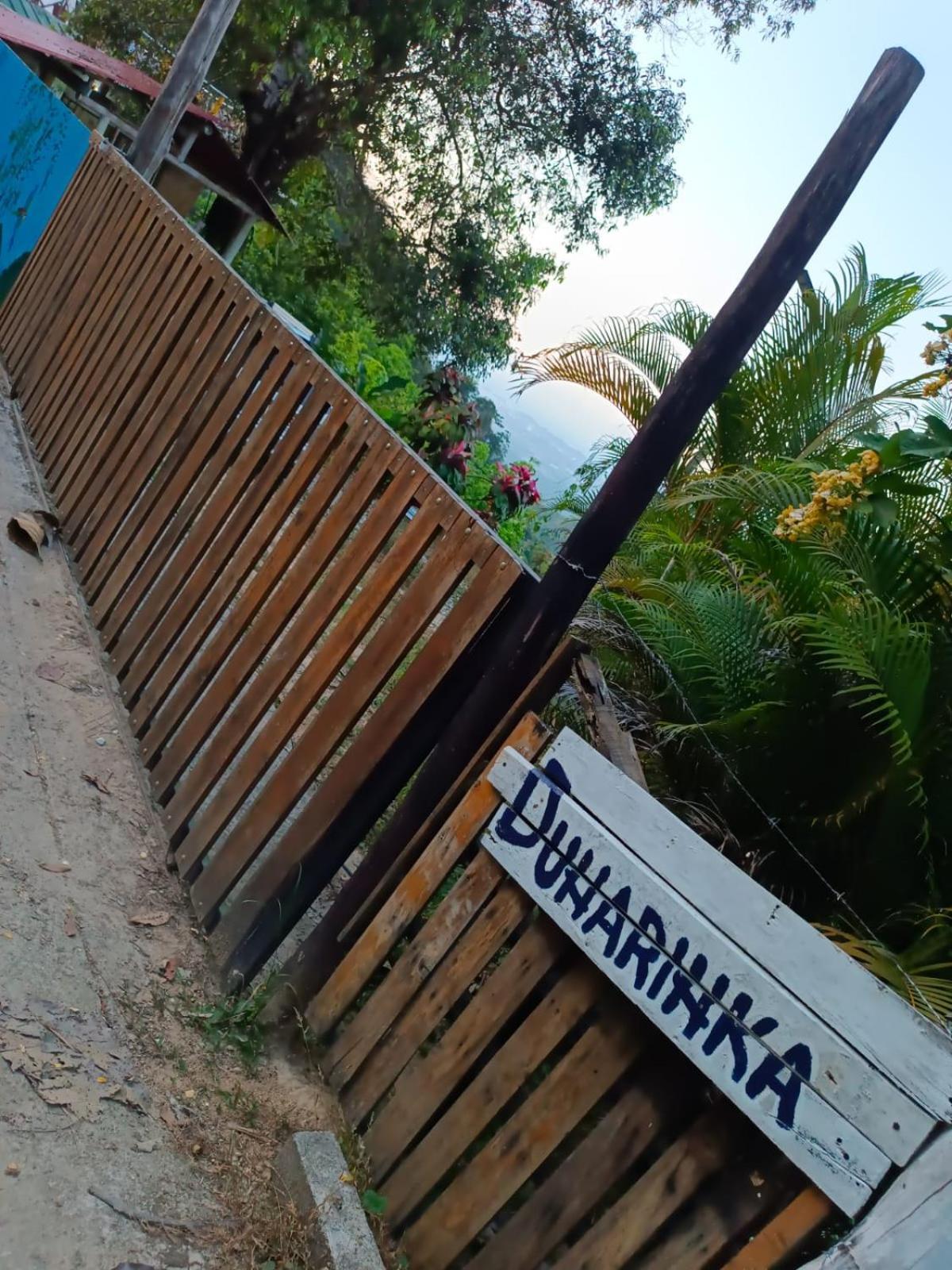 Dunarinka Minca Luaran gambar